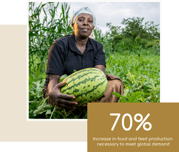 Farmer holding a watermelon in a farm - Evergrow fertilizer