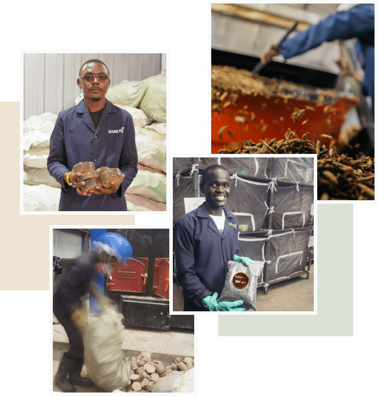 Insect feed processing, Evermoto briquettes