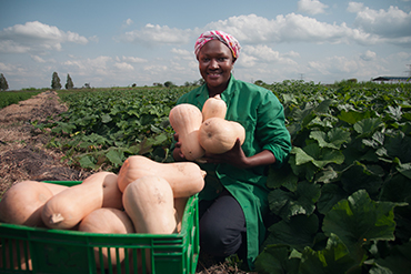 Farmer with a crate full of healthy butternuts